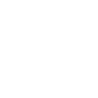 Anzo